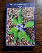 Puzzle Bluebird 500 elementów - Bird Flower - Papugi F-90876