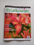 Miesięcznik Działkowiec nowy na miesiąc 12/2024r wydawnictwo Działkowiec