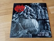 Flame -into the age of fire 