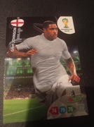 WORLD CUP 2014 JOHNSON 132