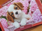 Castorland Puzzle 500 Pup in pink flowers 9+ 