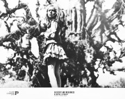 W PUSTYNI I W PUSZCZY Ślesicki fotos filmowy fotografia MONIKA ROSCA 24x30