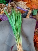 żyto zboże suszone naturalne zielone palmy