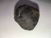 50g Hasz  haszysz CBD 31% okazja promocja wyprzedaż 