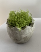 Mini betonowa doniczka 