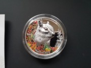 Duchy lasu, wiewiórka, srebrna moneta Mongolia