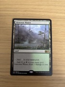 MTG - Llanowar Wastes (M15)