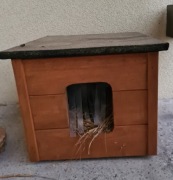 Buda dla kota ocieplana