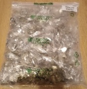 10 groszy 2025r Foliak - Parciak 