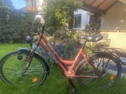 Rower górski damski Maxim complete 221