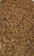 Gotowana pszenica 1kg