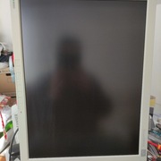 Monitor LCD Eizo Flexscan L985EX  