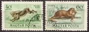 Węgry 1953 r. Fauna Ptaki