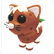 Pudding Cat - Adopt Me Roblox