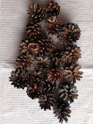 Szyszki sosnowe naturalne 20szt.; na choinkę, do ozdób, dekoracje 