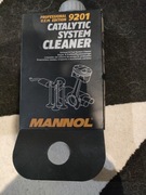 Środek do czyszczenia katalizatora