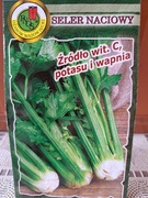 Seler naciowy 'Verde Pascal'