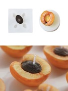 MORELA Połówka + PESTKI 4 wgłębienia ZESTAW 2 forem do Świec Mydła Odlewów 