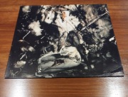 Fields Of The Nephilim Elizium winyl