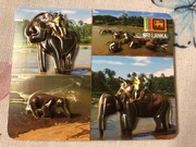 SRI LANKA magnes na lodówkę