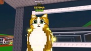 Meowl | Steal A Brainrot | Roblox Secret OG