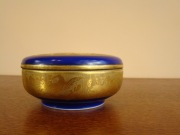 Puzderko Kobalt i Złoto  Rajski ptak