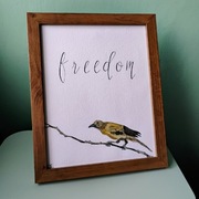 Akwarela FREEDOM w ramce