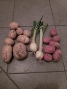 Warzywa od małego rolnika Ziemniaki/Ziemniaki czerwone