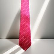 Elegancja w Każdym Detalu – Męski Krawat In Extenso