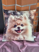 Poduszka pies piesek pomeranin 40x40 cm urodziny prezent 