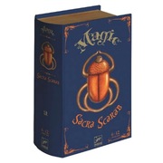 Gra DJECO Święty Skarabeusz, czary