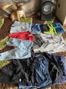 Spodenki,szorty, kąpielów chłopięce152/158 13 szt.