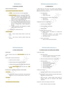 Notatki maturalne - Wiedza o społeczeństwie WOS - 3 klasa liceum