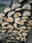 Dąb mokry do wędzenia kominka kozy 24kg +-25cm długości