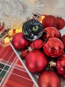 Bombka z TWOIM kotem!  Na zamówienie ze zdjęcia  