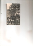 widokówka Konigsbruck (Saksonia,Niemcy) z obiegu, 1913 rok