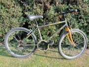 Rower trekking polecam