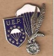 Miniaturka odznaki ZPS z tarczą UEP.