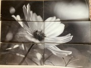 TUBĄDZIN JOY OBRAZ SZKLANY 6-ELEMENTOWY 898X673 MM