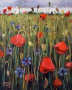 Krzysztof Iwin - Łąka