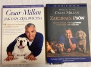 JAK uszczęśliwić psa, Zaklinacz psów - Cesar Millan
