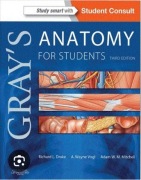 Greys Anatomy For Students Third Edition