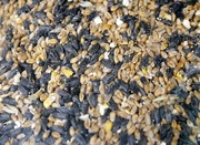 Mieszanka ziaren Pokarm dla ptaków zimujących karmnik 20 kg