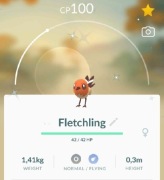 Shiny Fletchling