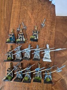 Phoenix guard, metal, oop, wzór z płomieniami