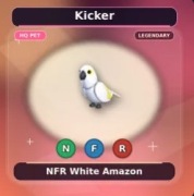 NFR white amazon roblox adopt me