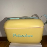 Polarbox, Lodówka turystyczna, Retro, Yellow, 20 L