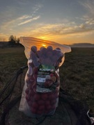 kulki zanętowe KarpR squid 20mm 1KG