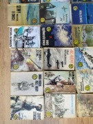 Żółty Tygrys, zestaw 81 sztuk