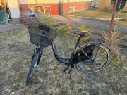 Rower miejski damski TeamRider